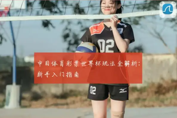 世界杯体彩玩法新手入门指南